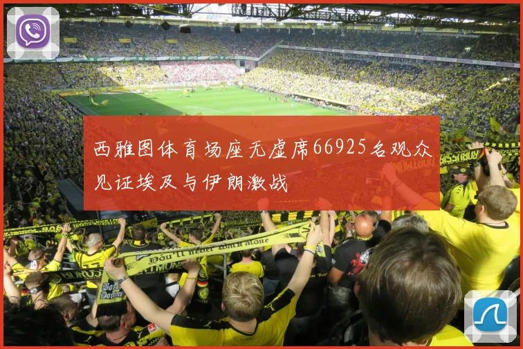 西雅图体育场座无虚席66925名观众见证埃及与伊朗激战