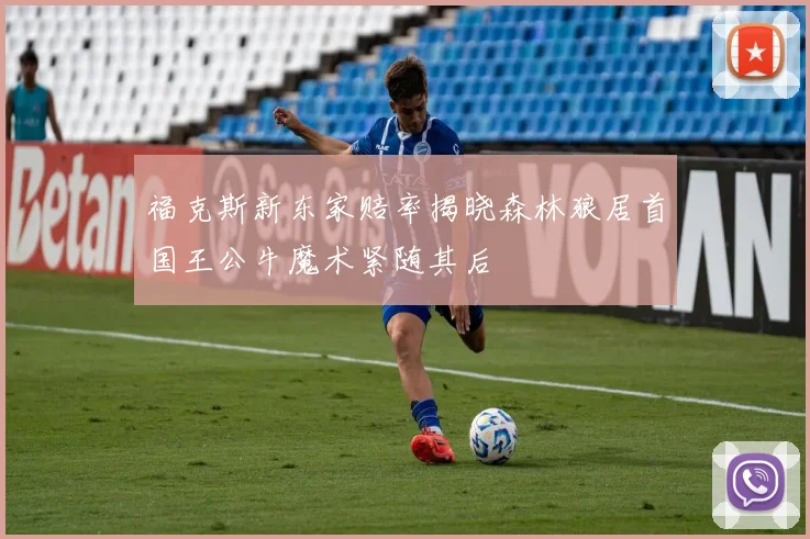 福克斯新东家赔率揭晓森林狼居首国王公牛魔术紧随其后